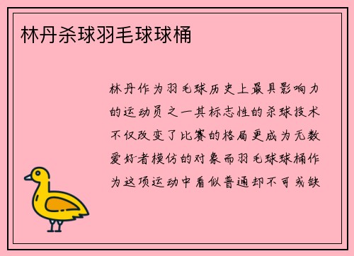 林丹杀球羽毛球球桶