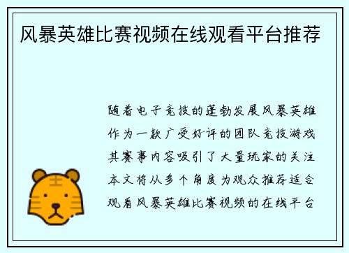 风暴英雄比赛视频在线观看平台推荐